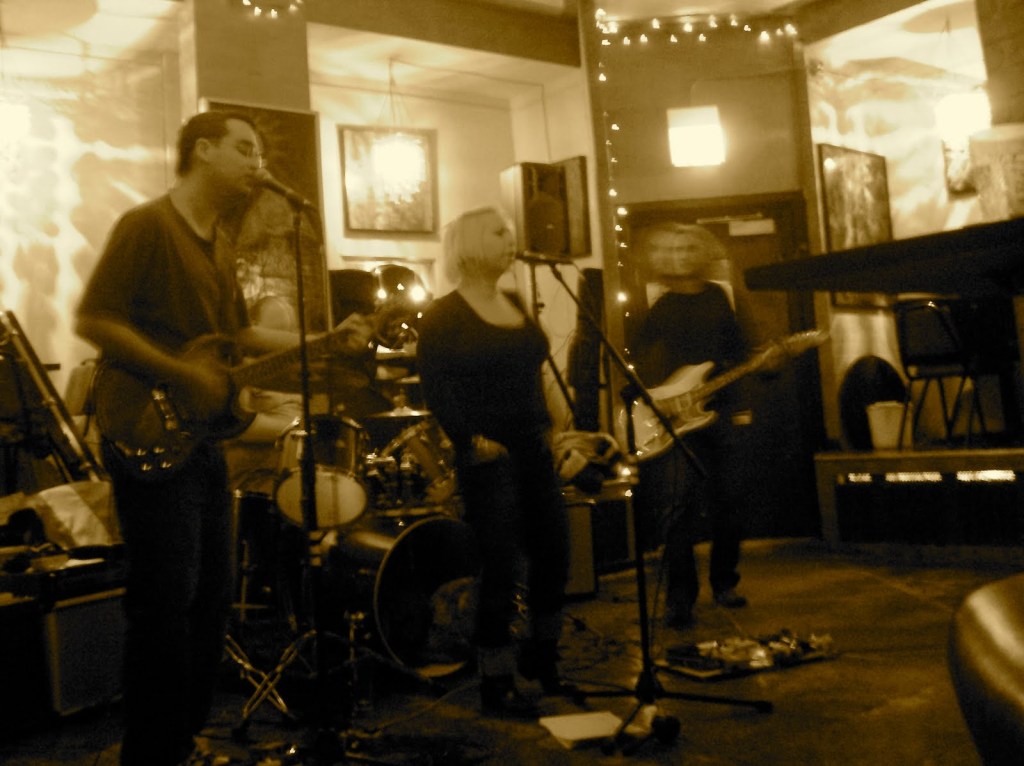 tiny magnets lizards liquid lounge