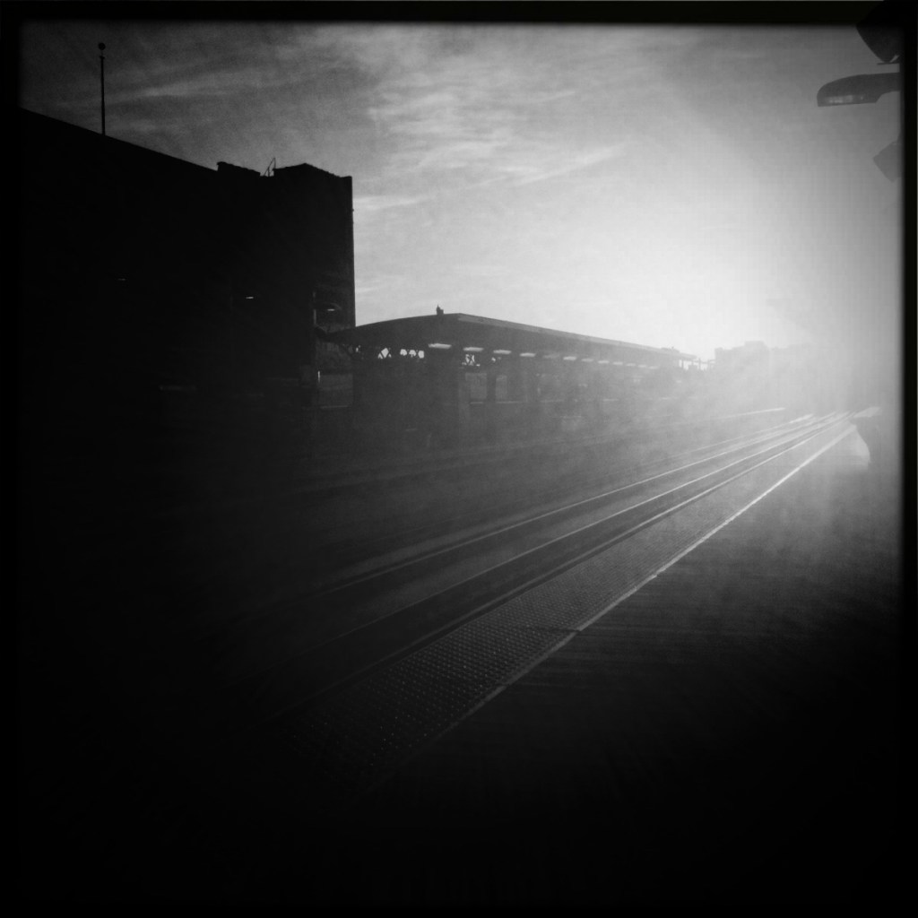 brown line paulina stop BW square