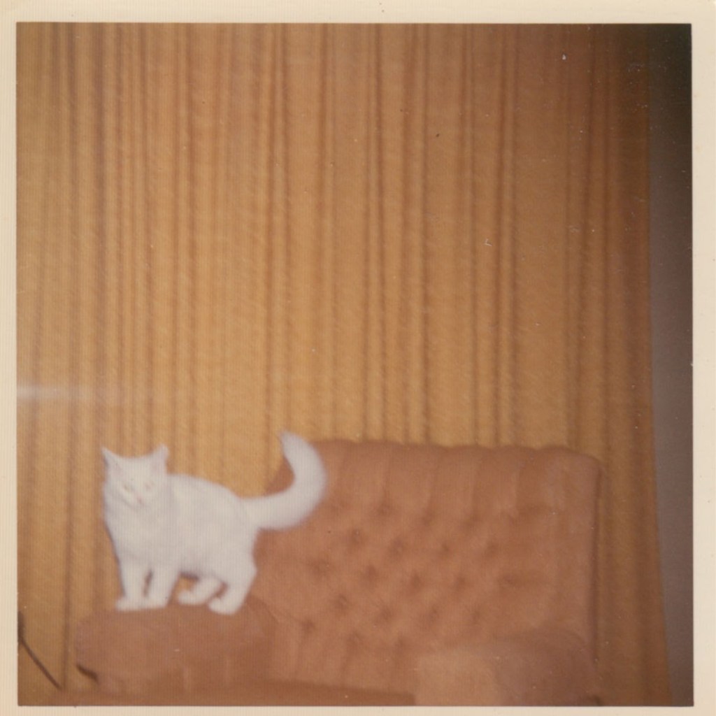 american romantic music album cover